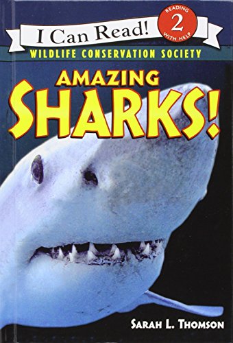 Amazing Sharks!:  2008 9781435288874 Front Cover