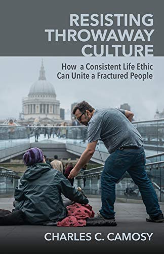 Resisting Throwaway Culture How a Consistent Life Ethic Can Unite a Fractured People N/A 9781565486874 Front Cover