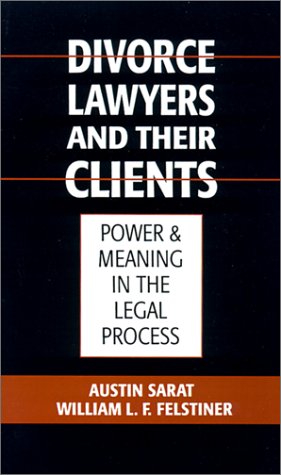 Divorce Lawyers and Their Clients Power and Meaning in the Legal Process  1995 9780195063875 Front Cover