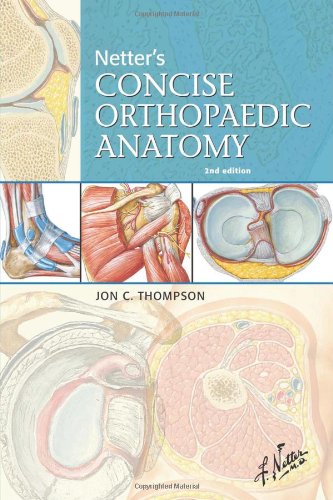 Netter's Concise Orthopaedic Anatomy  2nd 2010 9781416059875 Front Cover