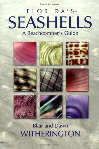 Florida's Seashells A Beachcomber's Guide  2007 9781561643875 Front Cover
