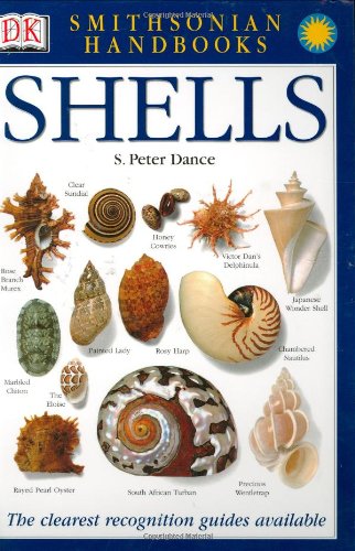 Handbooks: Shells The Clearest Recognition Guide Available  2002 9780789489876 Front Cover