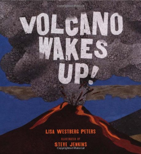 Volcano Wakes Up!   2009 9780805082876 Front Cover