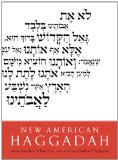 New American Haggadah  N/A 9780316069878 Front Cover