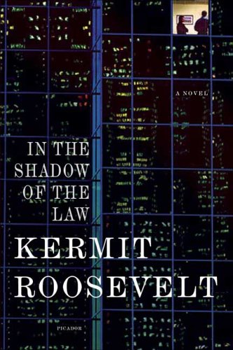 In the Shadow of the Law A Novel N/A 9780312425883 Front Cover