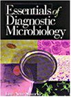Essentials of Diagnostic Microbiology  1st 1999 9780827373884 Front Cover