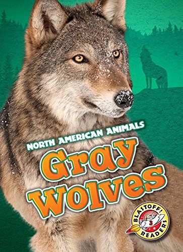 Gray Wolves   2015 9781626171886 Front Cover