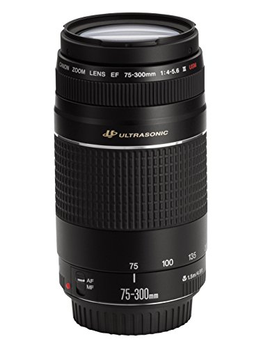 Canon EF 75-300mm f/4-5.6 III USM Telephoto Zoom Lens for Canon SLR Cameras product image