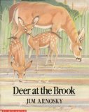 Deer at the Brook Reprint  9780688104887 Front Cover