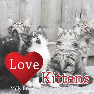 Love Kittens   2008 9781840246889 Front Cover