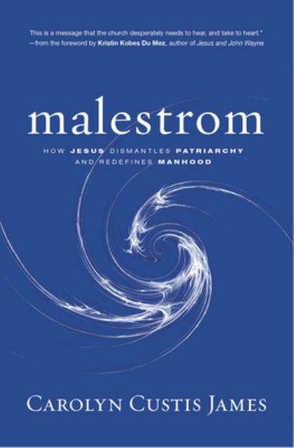 Malestrom How Jesus Dismantles Patriarchy and Redefines Manhood N/A 9780310138891 Front Cover