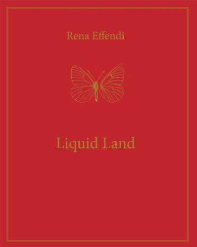 Liquid Land   2012 9789053307892 Front Cover