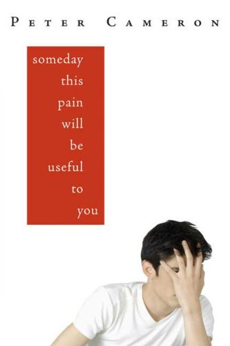 Someday This Pain Will Be Useful to You   2007 9780374309893 Front Cover