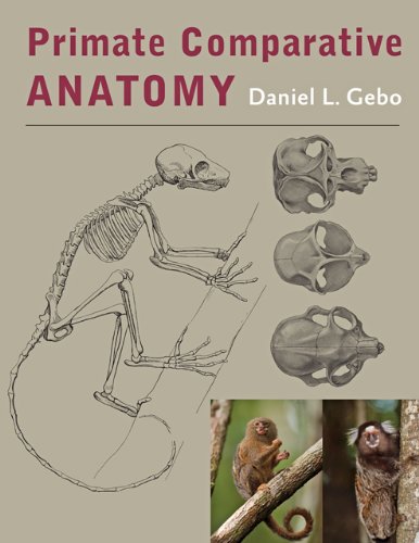 Primate Comparative Anatomy   2014 9781421414898 Front Cover