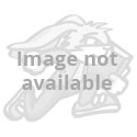 BENOKRAITIS BLACKBOARD MINDLIN N/A 9781285743899 Front Cover