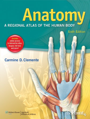 Anatomy A Regional Atlas of the Human Body 6th 2011 (Revised) 9781582558899 Front Cover