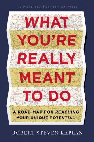 What You're Really Meant to Do A Road Map for Reaching Your Unique Potential  2013 9781422189900 Front Cover