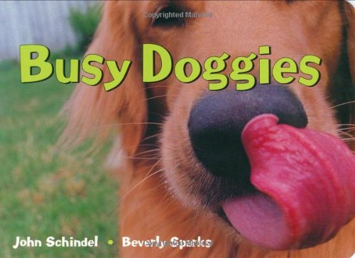 Busy Doggies   2003 9781582460901 Front Cover