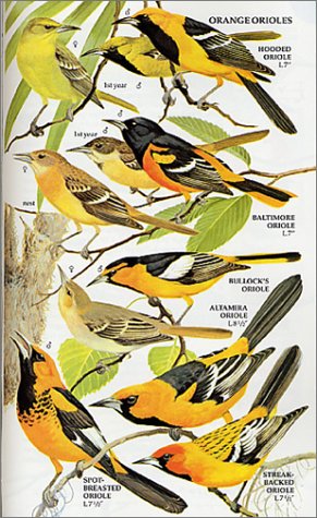 Birds of North America A Guide to Field Identification 2nd 2001 (Revised) 9781582380902 Front Cover