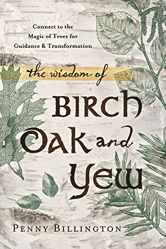 Wisdom of Birch, Oak, and Yew Connect to the Magic of Trees for Guidance and Transformation  2015 9780738740904 Front Cover