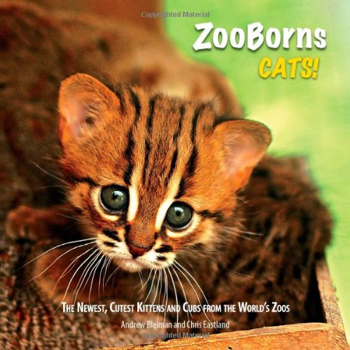 ZooBorns Cats! The Newest, Cutest Kittens and Cubs from the World's Zoos N/A 9781451651904 Front Cover