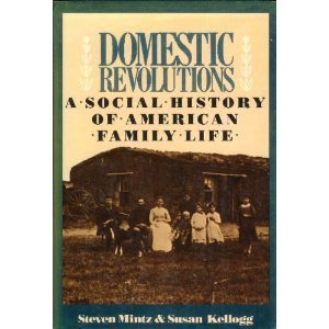 Domestic Revolutions A Social History of Domestic Family Life  1988 9780029212905 Front Cover