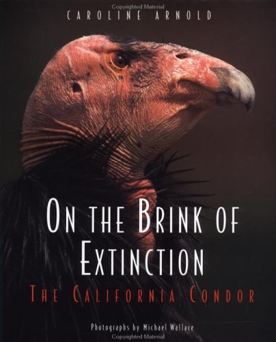 On the Brink of Extinction The California Condor Abridged  9780152579906 Front Cover
