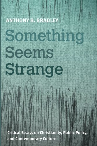 Something Seems Strange: Critical Essays on Christianity, Public Policy, and Contemporary Culture  2016 9781498283908 Front Cover