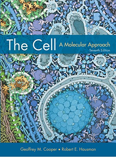Cell A Molecular Approach 7th 2016 9781605352909 Front Cover