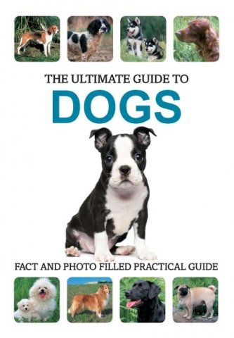 Dogs:   2011 9781445453910 Front Cover