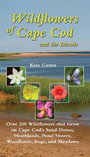Wildflowers of Cape Cod and the Islands   2008 9780881507911 Front Cover