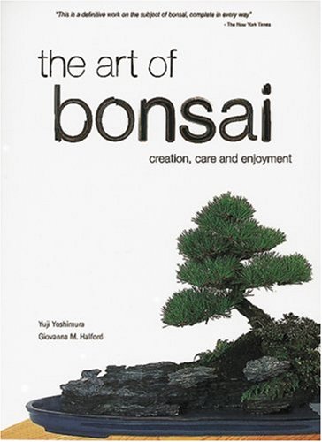 Art of Bonsai Creation, Care and Enjoyment  1996 9780804820912 Front Cover