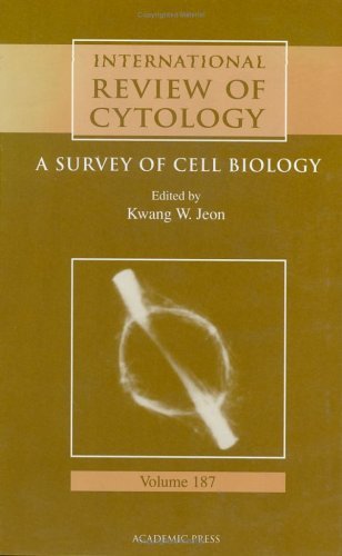 International Review of Cytology A Survey of Cell Biology  1999 9780123645913 Front Cover