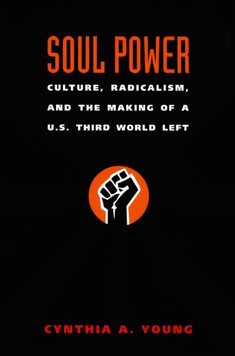 Soul Power Culture, Radicalism, and the Making of a U. S. Third World Left  2006 9780822336914 Front Cover