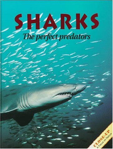 Sharks The Perfect Predators Revised  9780382248917 Front Cover