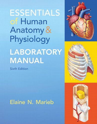 Essentials of Human Anatomy and Physiology Laboratory Manual  6th 2015 9780321947918 Front Cover