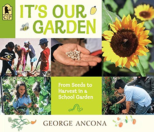 It's Our Garden From Seeds to Harvest in a School Garden N/A 9780763676919 Front Cover