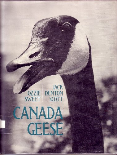 Canada Geese   1976 9780399204920 Front Cover