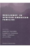 Resiliency in African-American Families   1998 9780761913924 Front Cover
