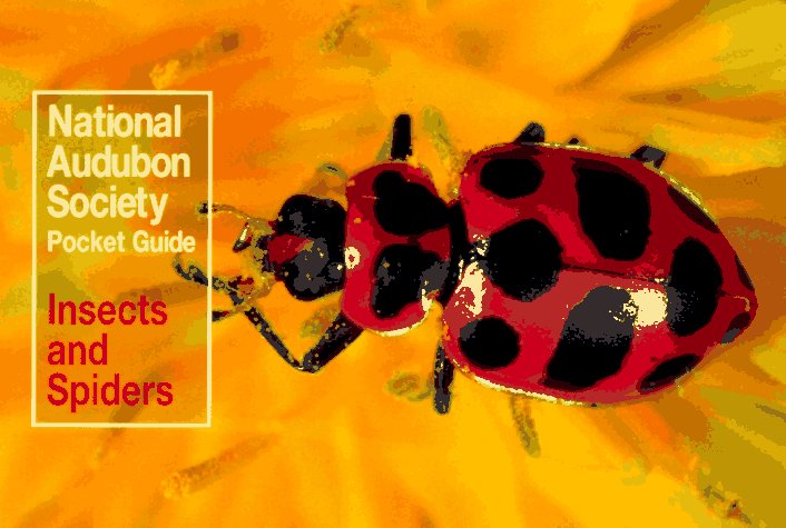 National Audubon Society Pocket Guide: Insects and Spiders   1988 9780394757926 Front Cover