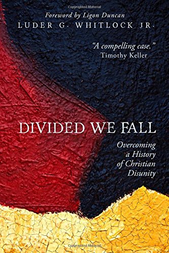 Divided We Fall: Overcoming a History of Christian Disunity 1st 9781596381926 Front Cover