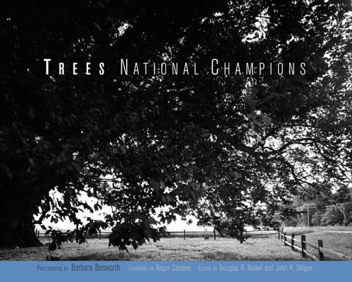 Trees National Champions  2005 9780262025928 Front Cover
