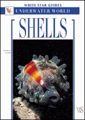 Shells  2005 9788854400931 Front Cover