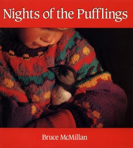 Nights of the Pufflings   1997 9780395856932 Front Cover