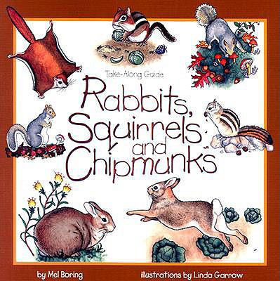 Rabbits, Squirrels, and Chipmunks  PrintBraille  9780613266932 Front Cover