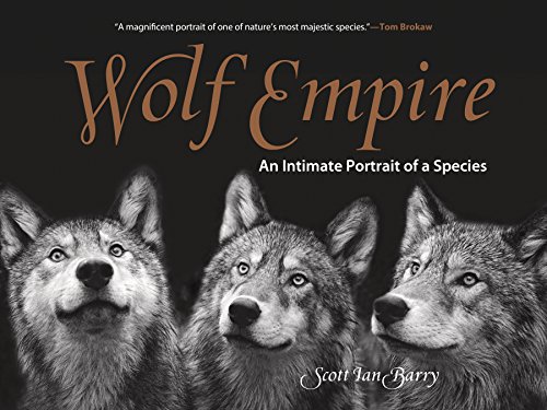 Wolf Empire An Intimate Portrait of a Species  2016 9781493018932 Front Cover