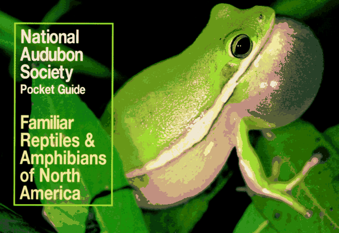 National Audubon Society Pocket Guide to Familiar Reptiles and Amphibians   1988 9780394757933 Front Cover