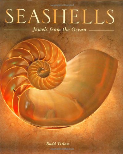 Seashells Jewels from the Ocean  2007 (Revised) 9780760325933 Front Cover