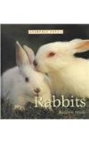 Rabbits  N/A 9780761407935 Front Cover