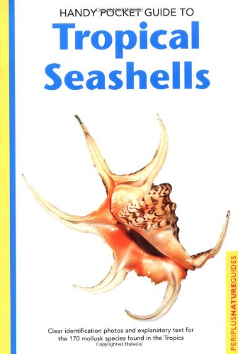 Handy Pocket Guide to Tropical Seashells   2004 9780794601935 Front Cover